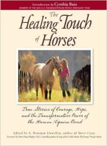 HealingTouchofHorsesLarge